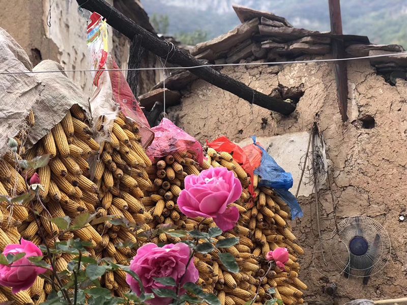 基地风景