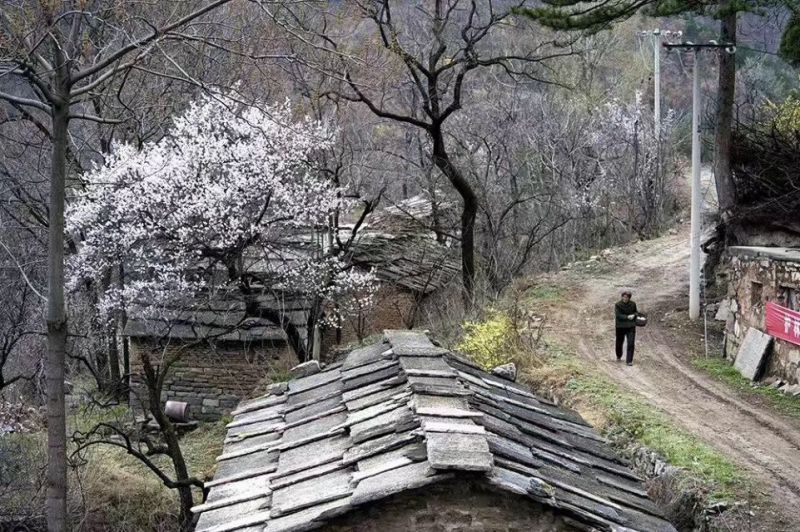 基地风景