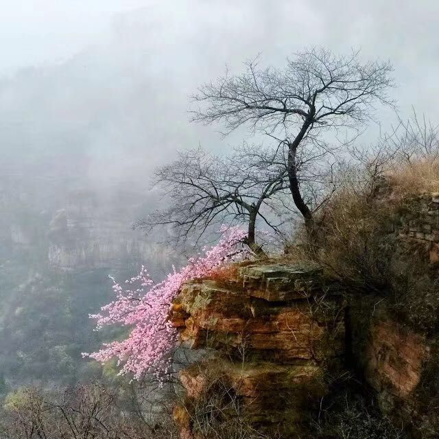 基地风景